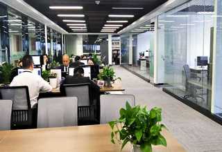 临安区人行道95砖厂家直销