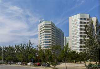 北仑区手提宠物包口碑推荐